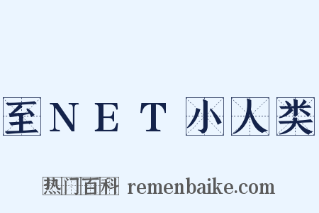 至NET小人类是什么意思的图片
